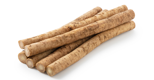 ごぼうを長持ちさせる保存方法｜常温・冷蔵・冷凍別に徹底解説！