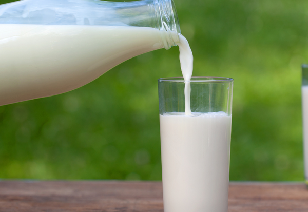 牛乳の処理とは？ 覚えておきたい牛乳の真実と代替ミルクの選択肢
