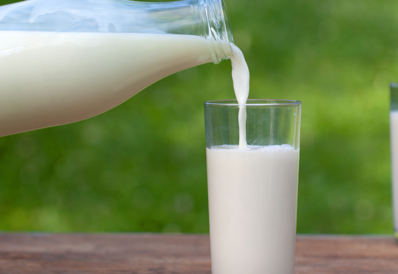 牛乳の処理とは？ 覚えておきたい牛乳の真実と代替ミルクの選択肢