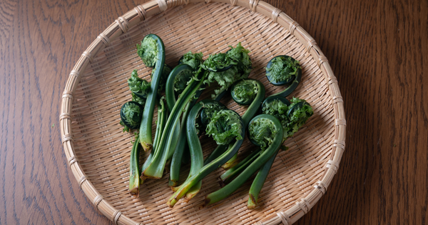 ぜんまいの栄養とおすすめレシピ