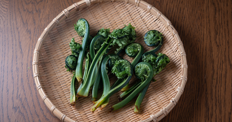 ぜんまいの栄養とおすすめレシピ