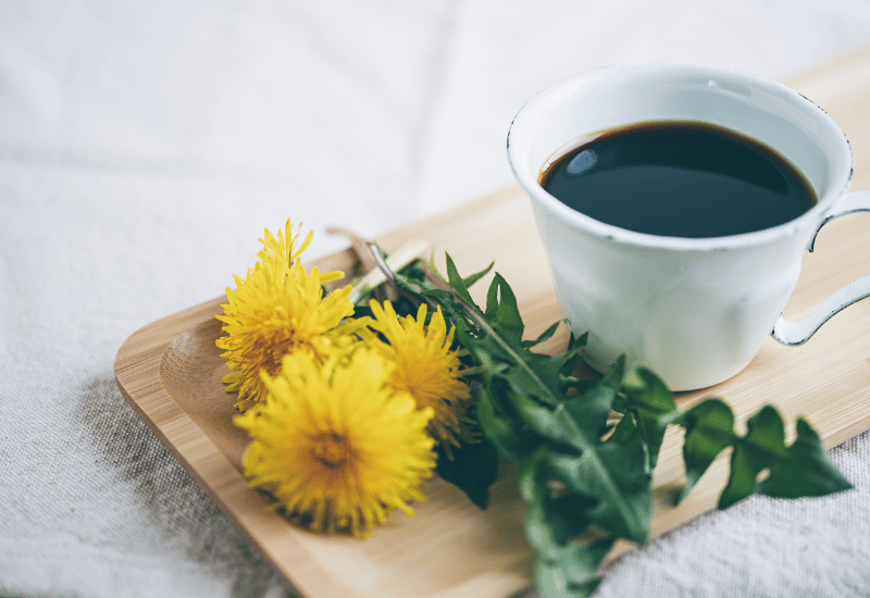 たんぽぽコーヒーとは