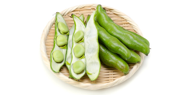 そらまめの旬はいつ？新鮮な選び方から保存方法、絶品レシピまで徹底解説！