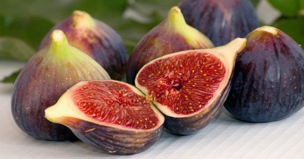 秋の味覚を堪能！旬のフルーツで食卓を彩る