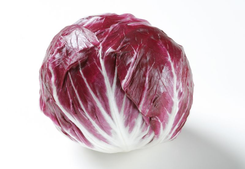 トレビスとは？特徴・栄養・調理法を徹底解説！