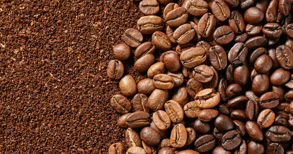 ロブスタとは？アラビカ種との違い、特徴、そして新たな楽しみ方を徹底解剖