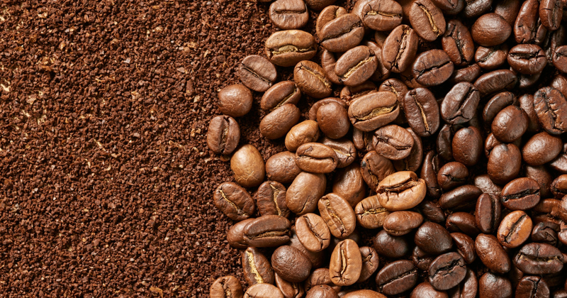 ロブスタとは？アラビカ種との違い、特徴、そして新たな楽しみ方を徹底解剖