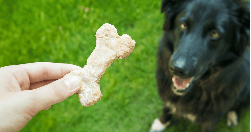 犬用クッキー選びの決定版！安全・健康・おいしさで選ぶおすすめガイド