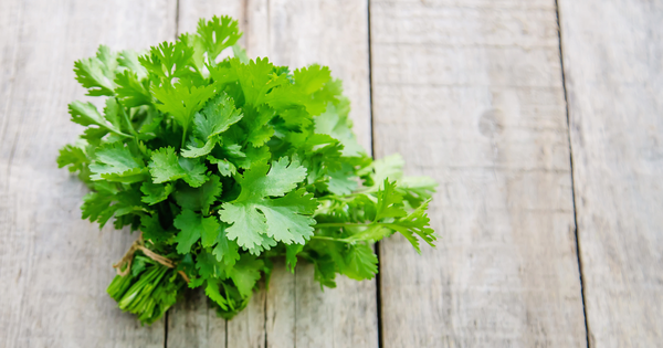 チャービルとは？風味・使い方から保存方法・レシピまで徹底解説