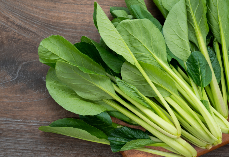 小松菜を長持ちさせる冷蔵保存術：鮮度を決めるコツと選びの完全ガイド