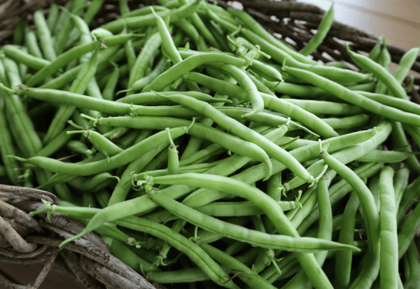 知られざるパワー！インゲン豆の栄養素