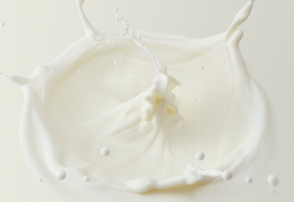 低温殺菌ノンホモ牛乳とは？ 低温風味・栄養・選び方を徹底解説