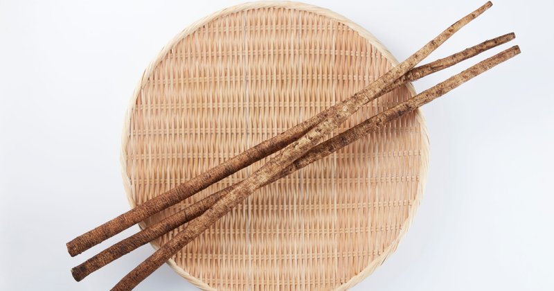 ごぼうを長持ちさせる保存法｜冷蔵・冷凍のコツと鮮度を保つテクニック