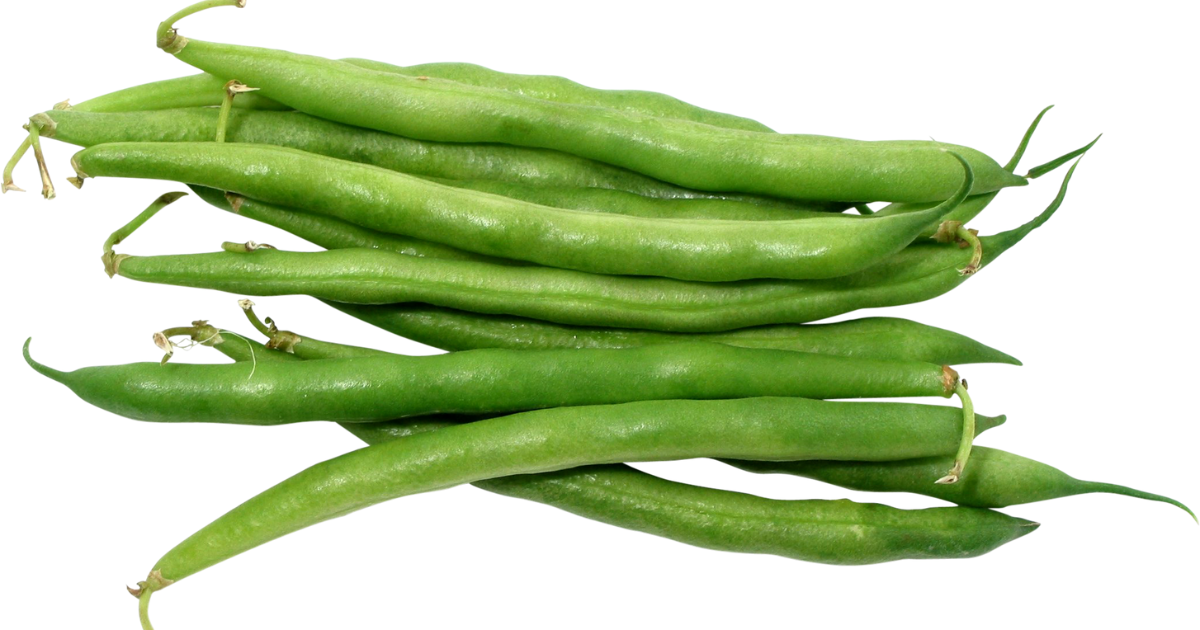 いんげん徹底解説：旬の時期、栄養、人気レシピまで