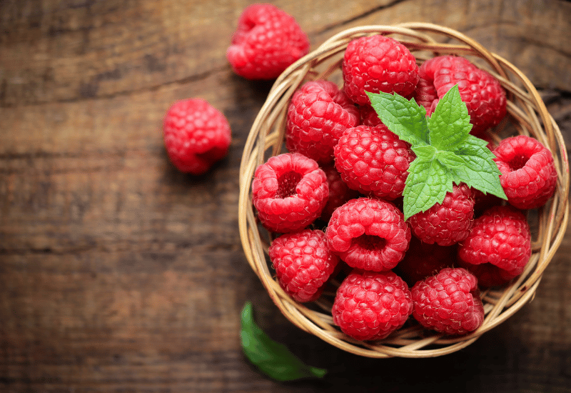 ラズベリー種類