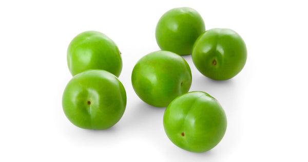 ケルシー プラム：幻のすももと呼ばれる理由と特徴