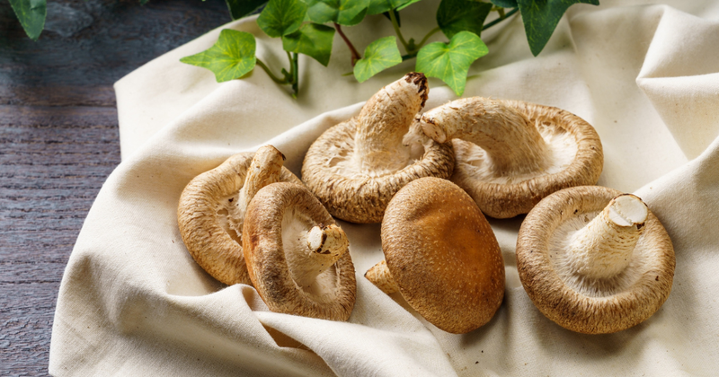 スライスしいたけ冷凍保存術：旨味を逃さず賢く活用！