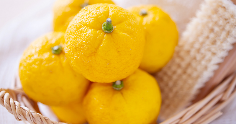 ゆず似の柑橘ユコウとは？特徴・味・栄養素から育て方まで徹底解説！