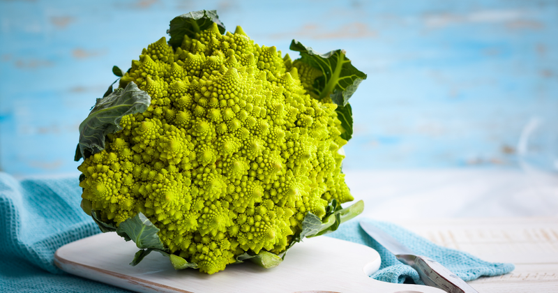 ブロッコリーだけじゃない！ロマネスコとスティックセニョールの魅力徹底解剖