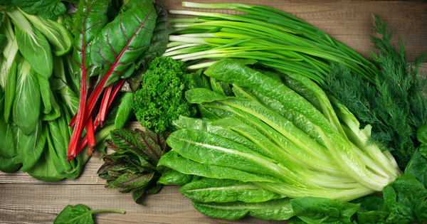 食卓を彩る葉物野菜：栄養満点な種類、旬、保存まで徹底解説