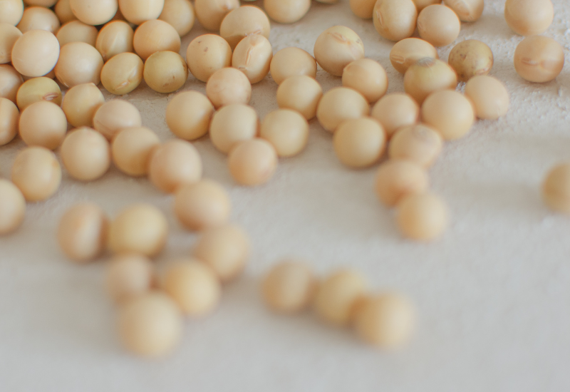 大豆の知られざる効能：5大栄養素から効果的な食べ方まで徹底解説