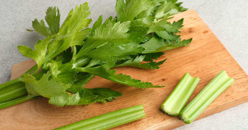 セロリはどこまで食べられる？葉から茎まで徹底解説！栄養・美味しい食べ方・保存方法