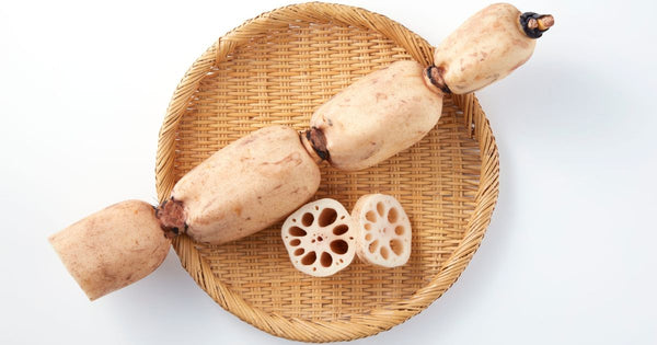 蓮根は何科？知っておきたい基礎知識と豆知識
