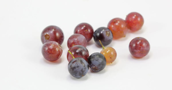デラウェア栄養素：知られざる健康効果と美味しく食べる秘訣
