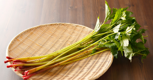 ミズの実：瑞々しさが奏でる、山菜の美味