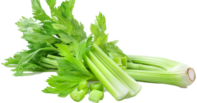 セロリの葉はもったいない！栄養満点活用レシピと保存テクニック
