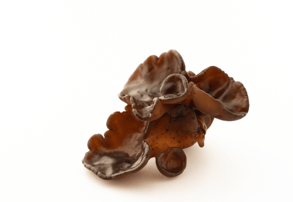 生きくらげの下処理から絶品レシピまで！刺身風レシピのコツも解説