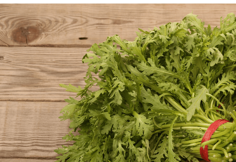 春菊を生で楽しむ！