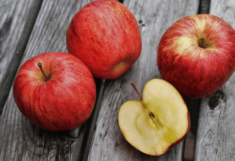 りんご種類 時期