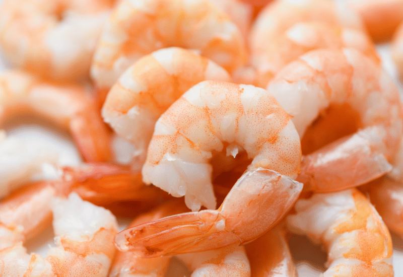 離乳食のエビはいつから？開始時期、注意点まで解説