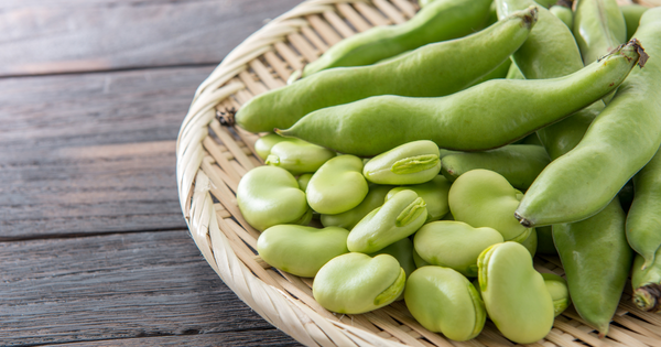 そら豆を味わい尽くす！イタリアの家庭料理からヒントを得た活用術とレシピ