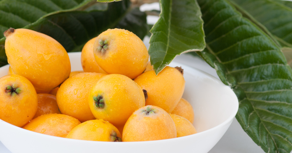 枇杷(ビワ)の魅力を徹底解説！栄養成分から活用法まで