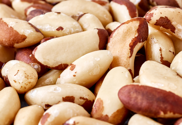 ブラジルナッツの効果：知られざる健康パワーと活用法