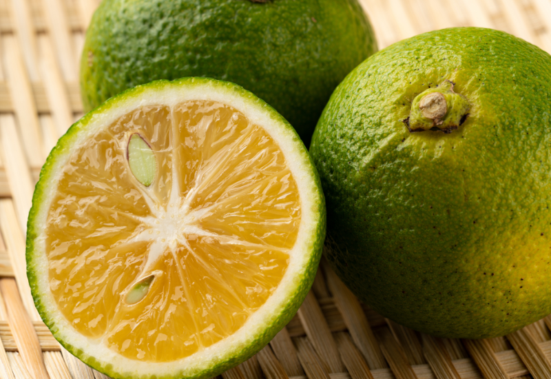 カボス剪定：時期・方法から栽培のコツ、業者依頼の費用まで徹底解説