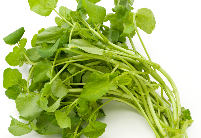 クレソンの新しい食べ方発見！生で楽しむレシピと栄養を逃さない調理法