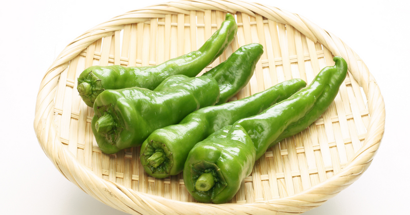 万願寺とうがらし（万願寺甘とう）徹底解説：旬、特徴、美味しい食べ方