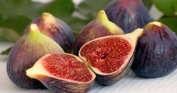 イチジクは何科の植物？知られざるイチジクの仲間たち
