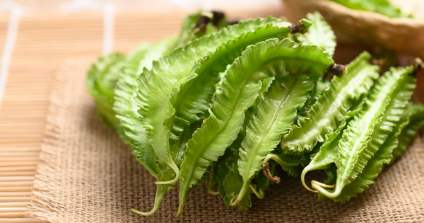 四角豆の毒性：安全性、栄養、調理法を徹底解説