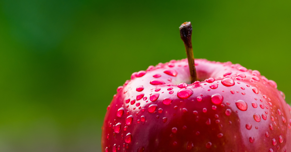 世界一大きいりんごとは？巨大品種から驚きの値段、ギネス記録まで徹底解剖