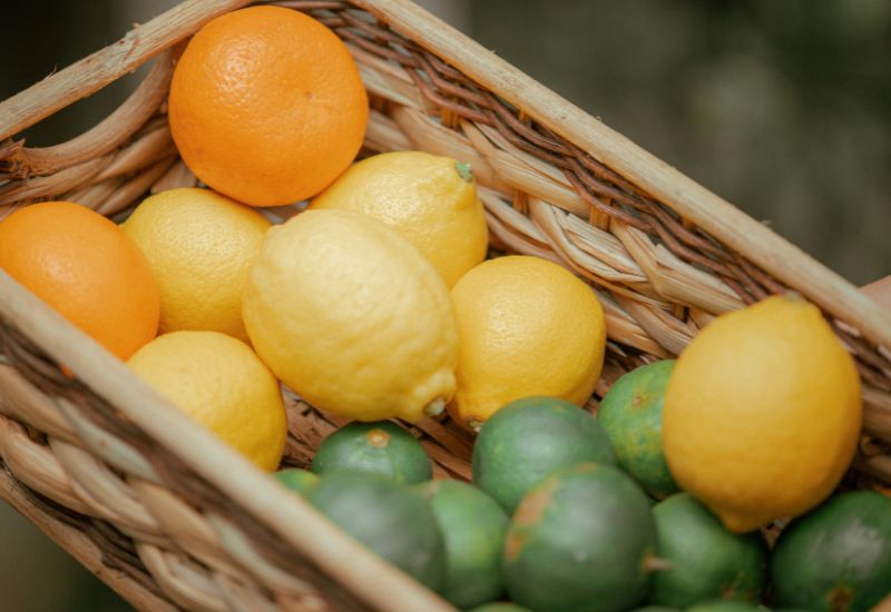 柑橘類の種類別 見分け方ガイド - 特徴、旬、選び方を徹底解説！