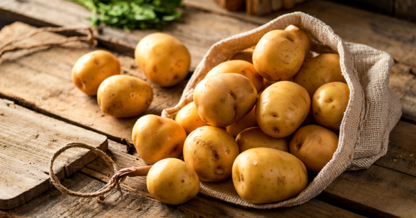 じゃがいもの芽が出ない？原因と対策を徹底解説！