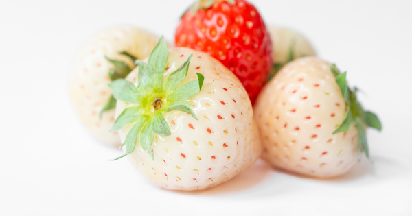 希少な高級いちご「桃薫（とうくん）」：産地、値段、その魅力に迫る！