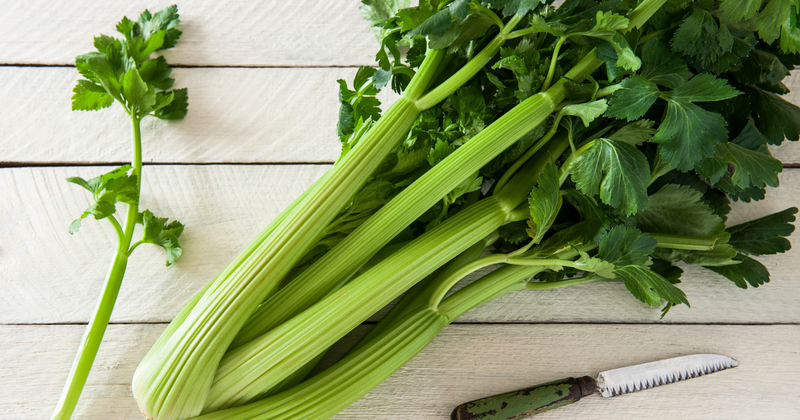 セロリの葉っぱ、もう捨てない！賢い活用術と知られざる魅力