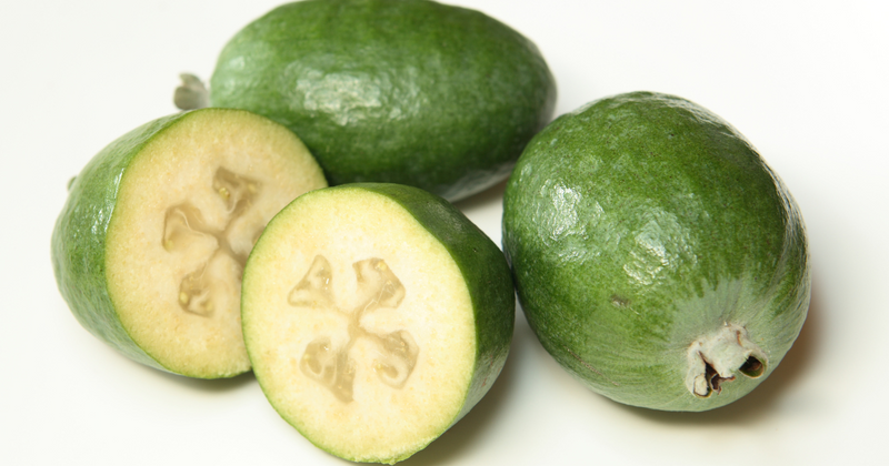 フェイジョアの育て方：初心者でも簡単！剪定、施肥、収穫までの完全ガイド