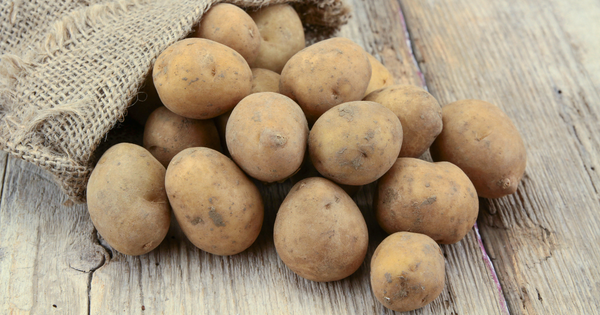 ジャガイモの実と花：栽培の基本と安全性について解説