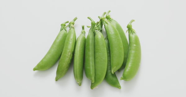 春の食卓を華やかにする！スナップえんどうの魅力を徹底解説
